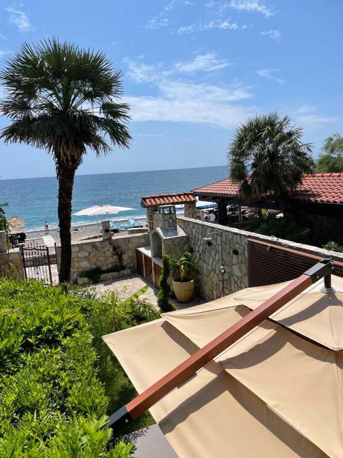 Reina * Petrovac